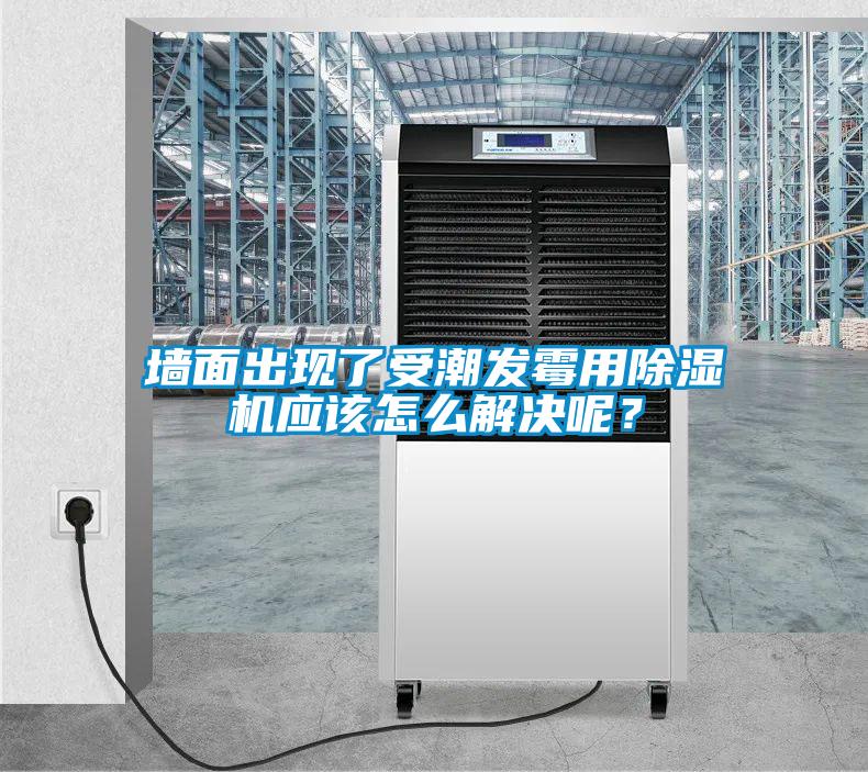 墻面出現了受潮發霉用除濕機應該怎么解決呢？