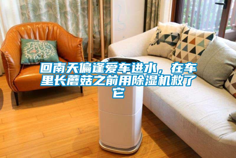 回南天偏逢愛車進水，在車里長蘑菇之前用除濕機救了它