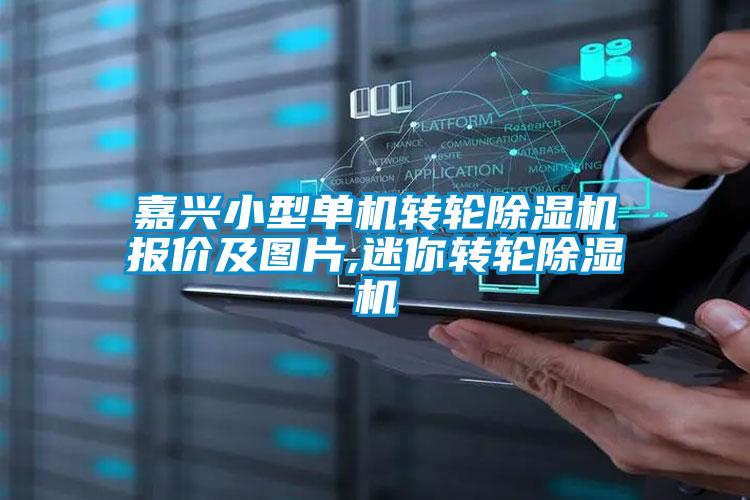 嘉興小型單機轉輪除濕機報價及圖片,迷你轉輪除濕機