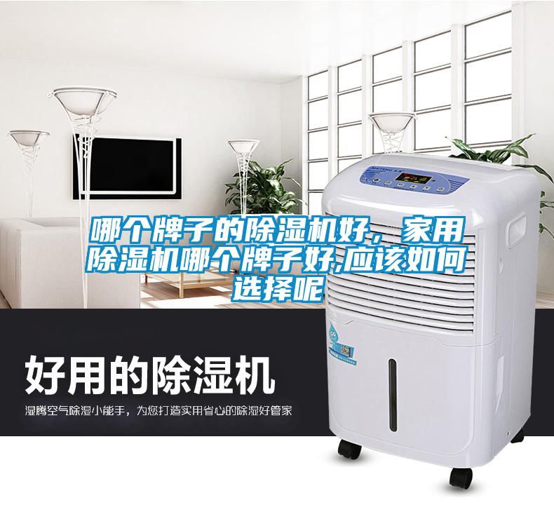 哪個牌子的除濕機好，家用除濕機哪個牌子好,應該如何選擇呢