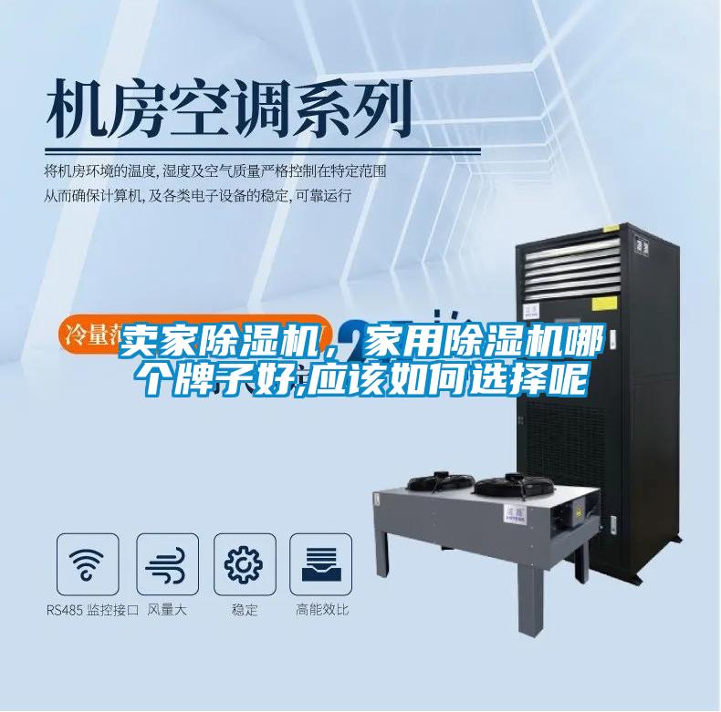 賣家除濕機，家用除濕機哪個牌子好,應該如何選擇呢