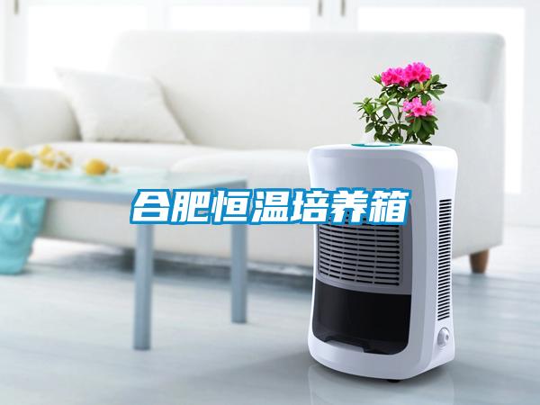 合肥恒溫培養箱