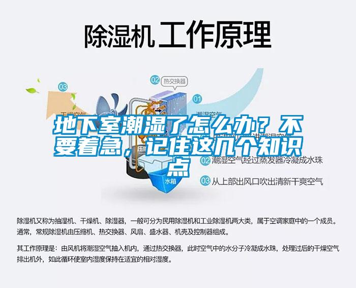 地下室潮濕了怎么辦？不要著急，記住這幾個知識點
