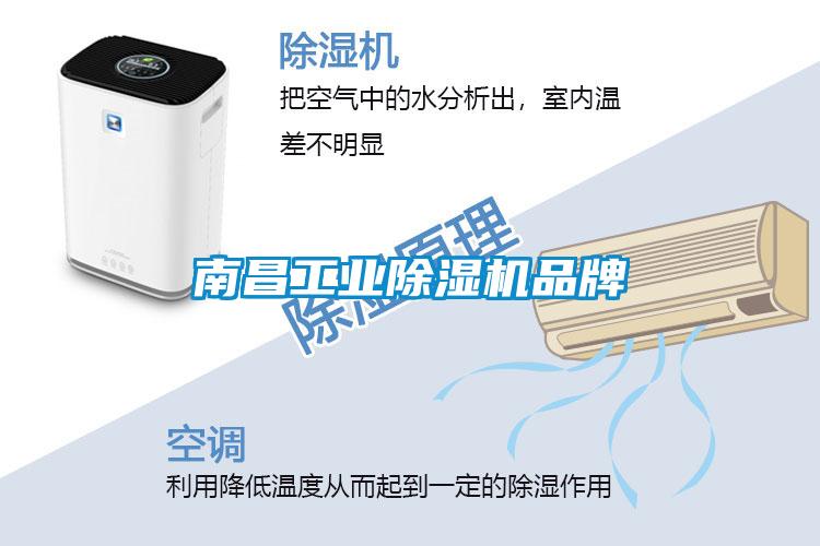 南昌工業除濕機品牌