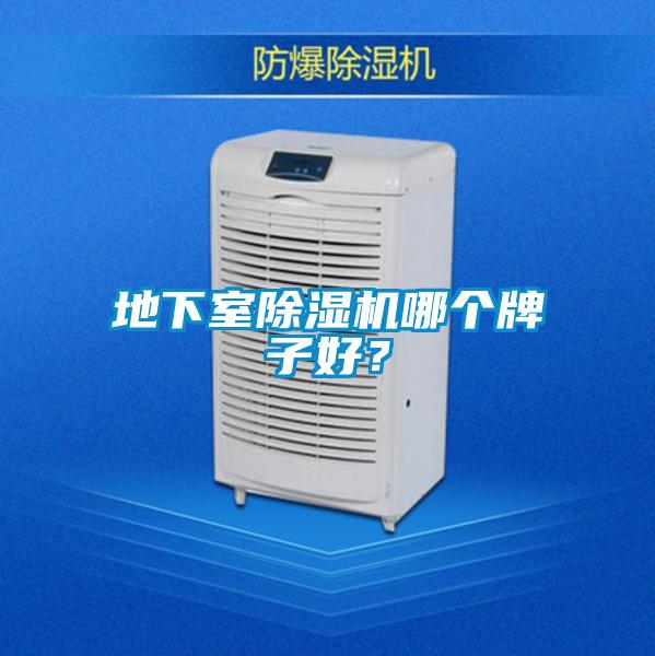 地下室除濕機哪個牌子好？