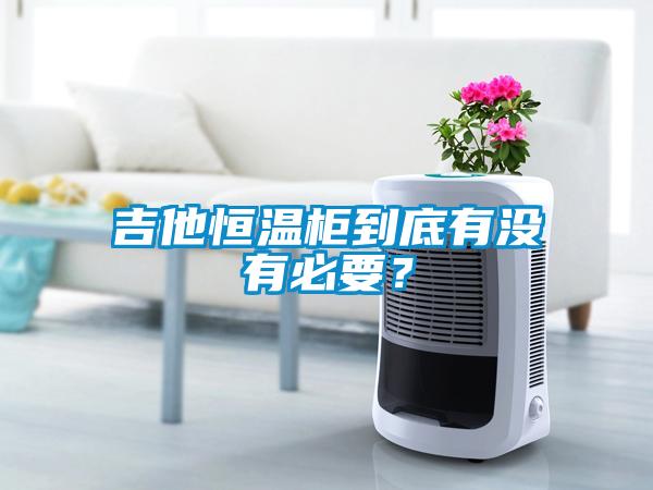 吉他恒溫柜到底有沒有必要？