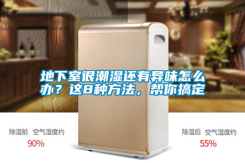 地下室很潮濕還有異味怎么辦？這8種方法，幫你搞定