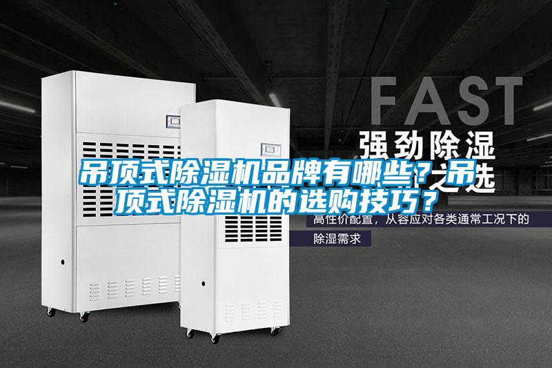 吊頂式除濕機品牌有哪些？吊頂式除濕機的選購技巧？