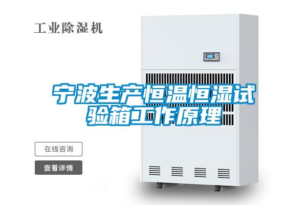 寧波生產恒溫恒濕試驗箱工作原理