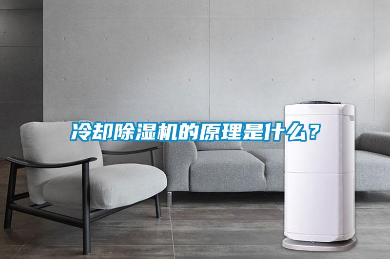 冷卻除濕機的原理是什么？