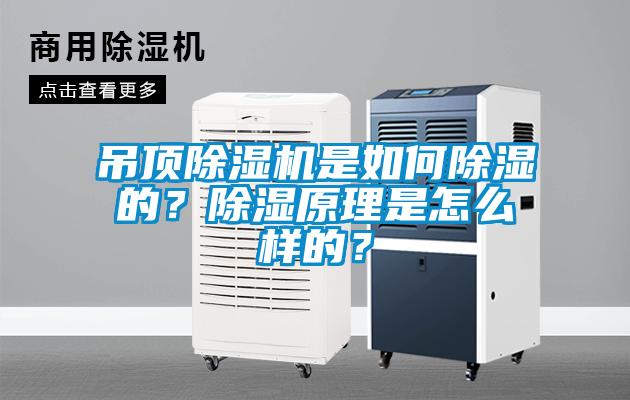 吊頂除濕機是如何除濕的？除濕原理是怎么樣的？