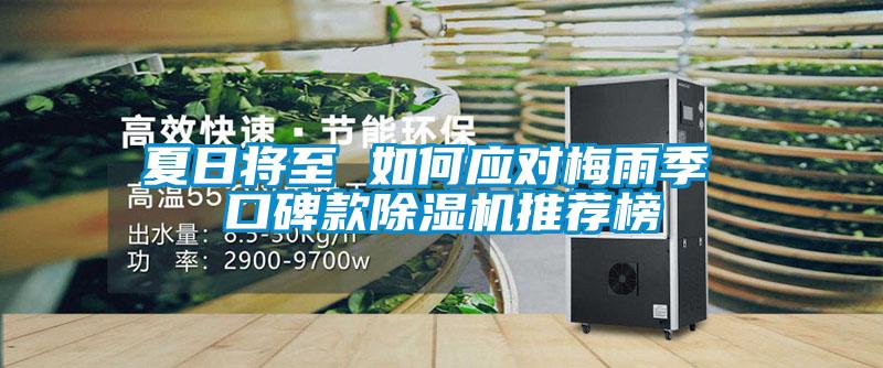 夏日將至 如何應對梅雨季 口碑款除濕機推薦榜