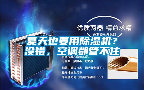 夏天也要用除濕機？沒錯，空調都管不住
