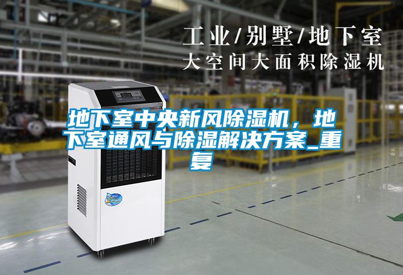 地下室中央新風除濕機，地下室通風與除濕解決方案_重復
