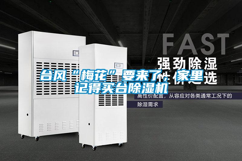 臺風“梅花”要來了，家里記得買臺除濕機