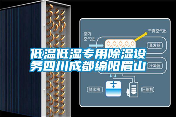 低溫低濕專用除濕設務四川成都綿陽眉山
