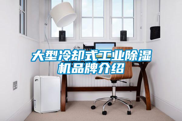 大型冷卻式工業除濕機品牌介紹