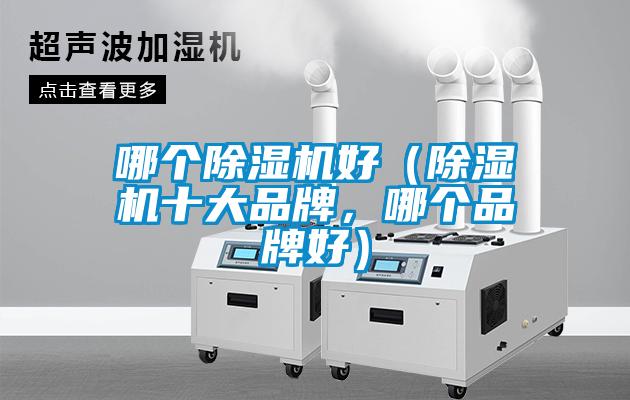 哪個除濕機好（除濕機十大品牌，哪個品牌好）