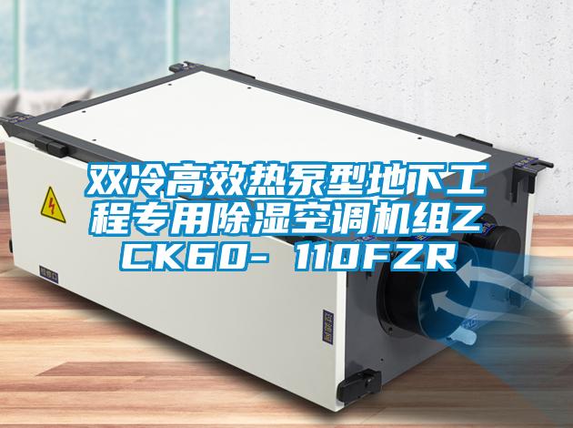 雙冷高效熱泵型地下工程專用除濕空調機組ZCK60- 110FZR
