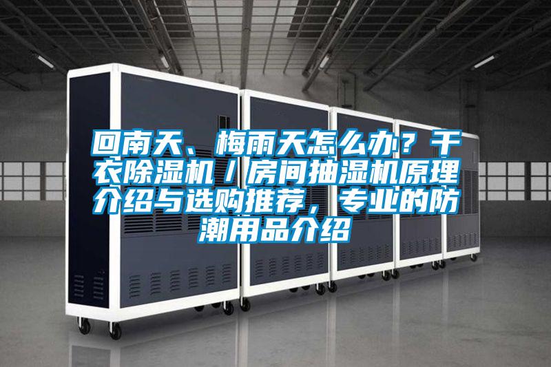 回南天、梅雨天怎么辦？干衣除濕機／房間抽濕機原理介紹與選購推薦，專業的防潮用品介紹