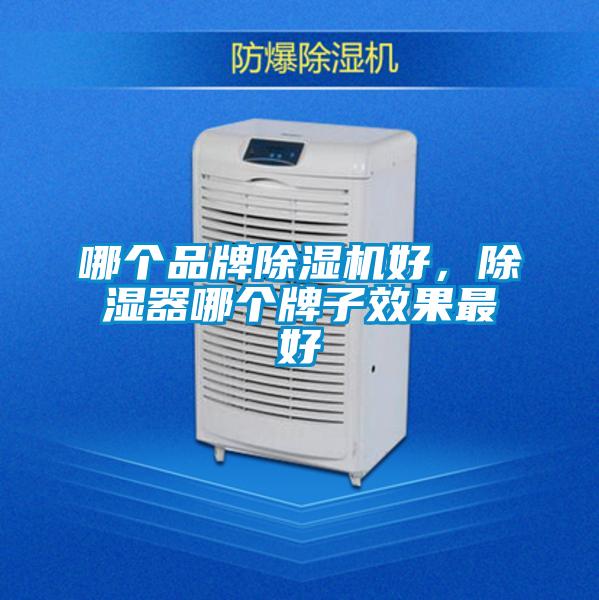 哪個品牌除濕機好，除濕器哪個牌子效果最好
