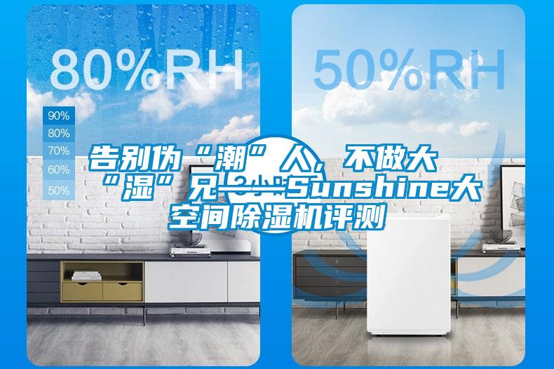 告別偽“潮”人，不做大“濕”兄——Sunshine大空間除濕機評測