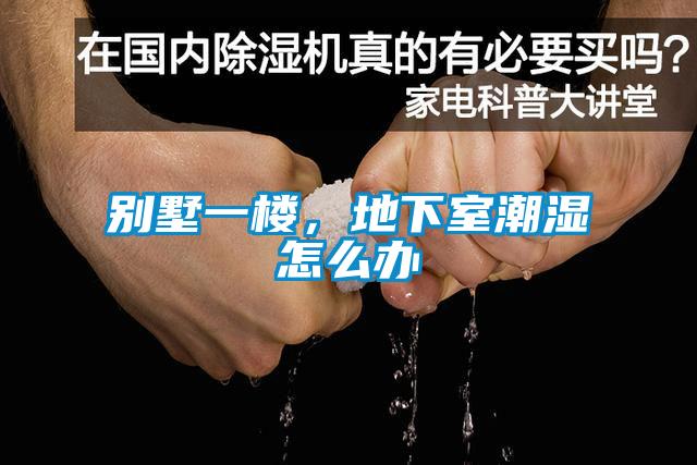 別墅一樓，地下室潮濕怎么辦