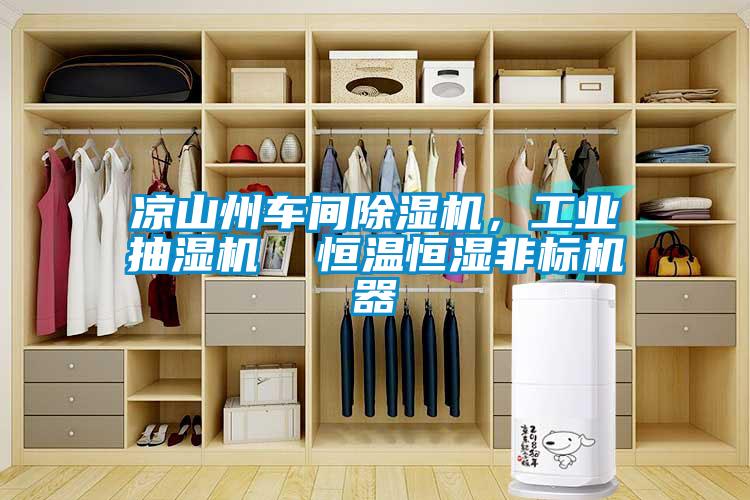 涼山州車間除濕機，工業抽濕機  恒溫恒濕非標機器