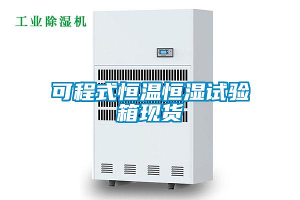 可程式恒溫恒濕試驗箱現貨