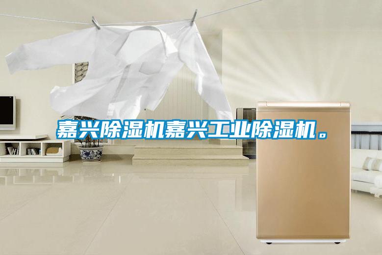 嘉興除濕機嘉興工業除濕機。