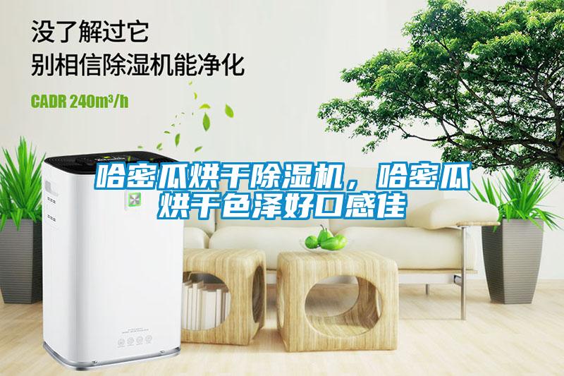 哈密瓜烘干除濕機，哈密瓜烘干色澤好口感佳