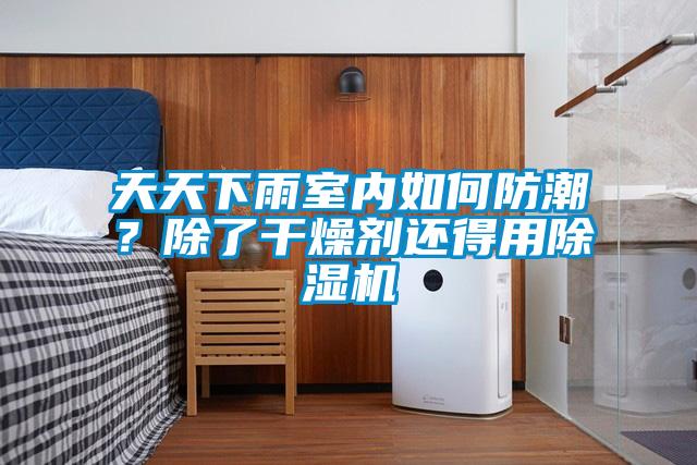 天天下雨室內如何防潮？除了干燥劑還得用除濕機
