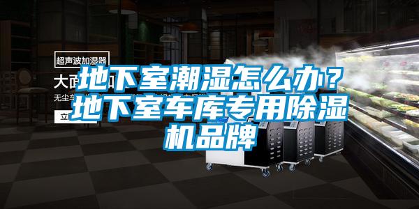 地下室潮濕怎么辦？地下室車庫專用除濕機品牌