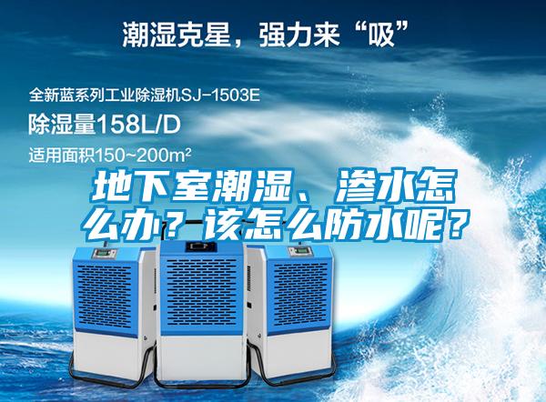 地下室潮濕、滲水怎么辦？該怎么防水呢？