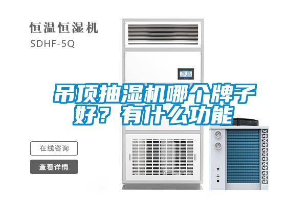 吊頂抽濕機哪個牌子好？有什么功能