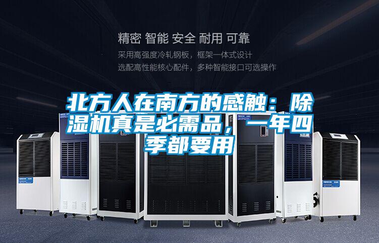 北方人在南方的感觸：除濕機真是必需品，一年四季都要用
