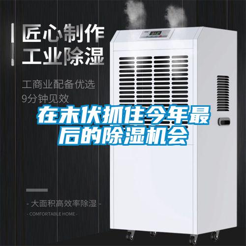 在末伏抓住今年最后的除濕機會