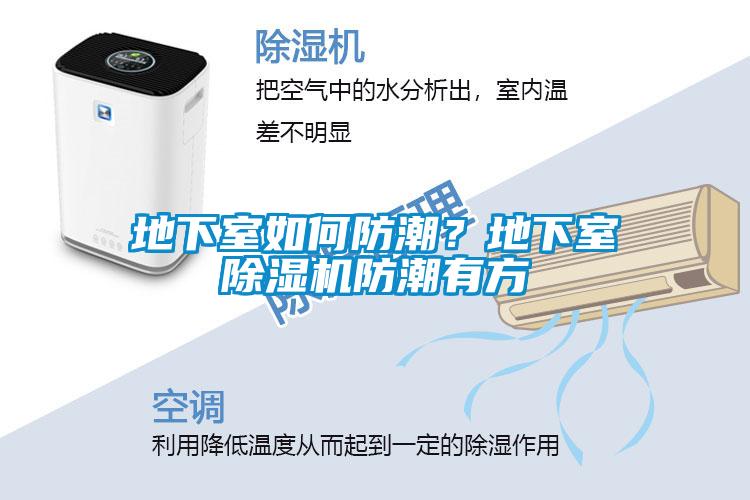 地下室如何防潮？地下室除濕機防潮有方