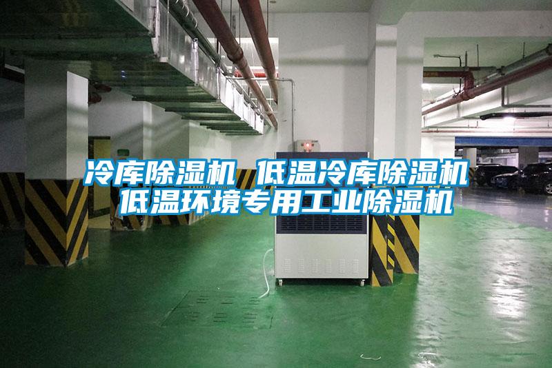 冷庫除濕機 低溫冷庫除濕機 低溫環境專用工業除濕機