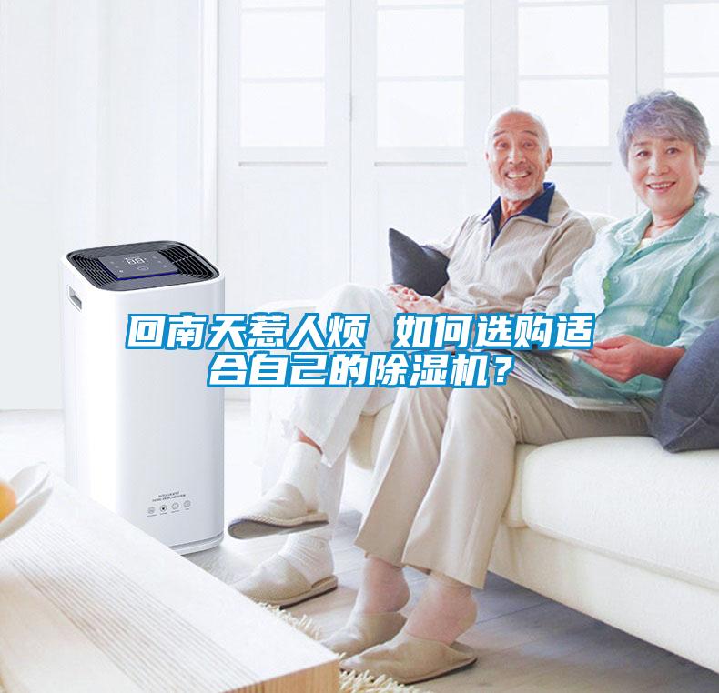 回南天惹人煩 如何選購適合自己的除濕機？