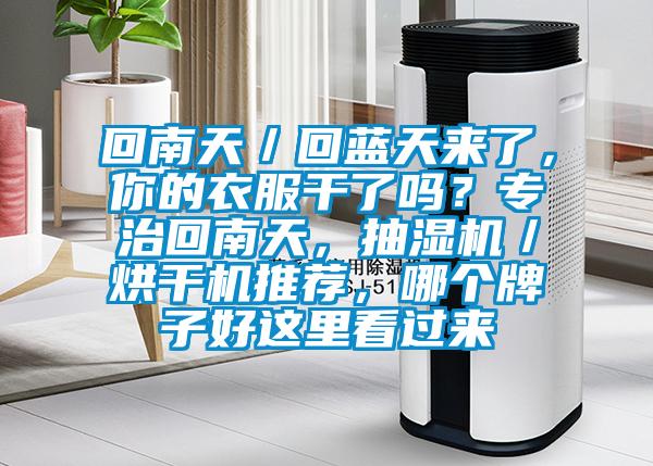 回南天／回藍天來了，你的衣服干了嗎？專治回南天，抽濕機／烘干機推薦，哪個牌子好這里看過來