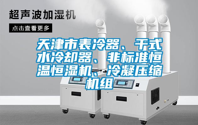 天津市表冷器、干式水冷卻器、非標準恒溫恒濕機、冷凝壓縮機組