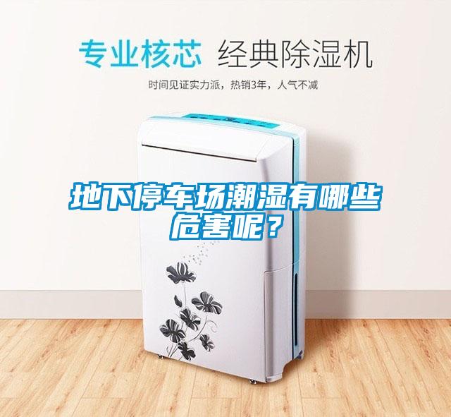 地下停車場潮濕有哪些危害呢？
