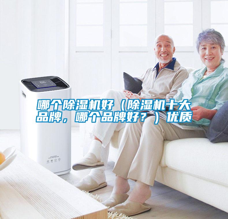 哪個除濕機好（除濕機十大品牌，哪個品牌好？）優質