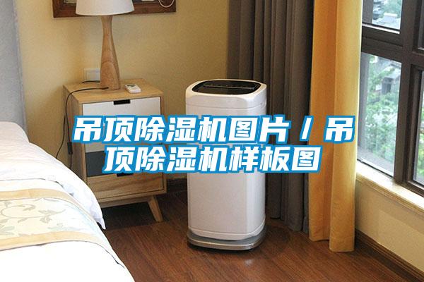 吊頂除濕機圖片／吊頂除濕機樣板圖