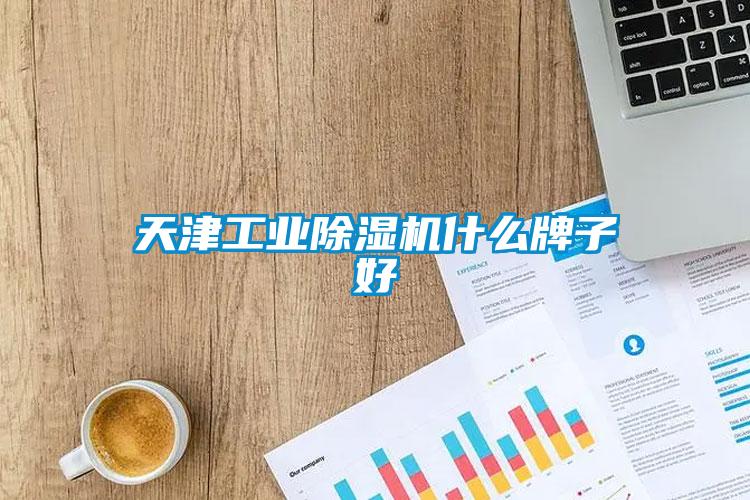 天津工業除濕機什么牌子好