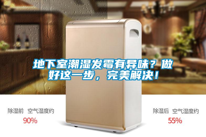 地下室潮濕發霉有異味？做好這一步，完美解決！