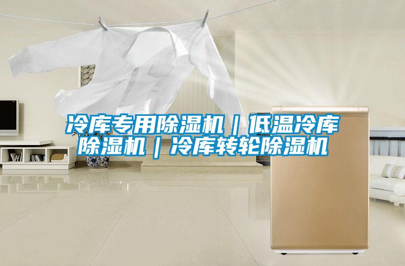冷庫專用除濕機｜低溫冷庫除濕機｜冷庫轉輪除濕機