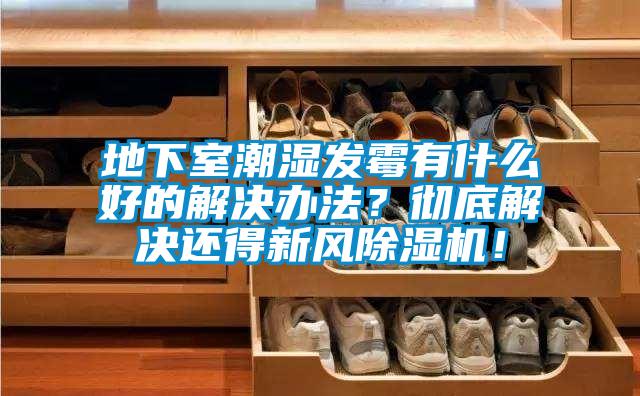 地下室潮濕發霉有什么好的解決辦法？徹底解決還得新風除濕機！