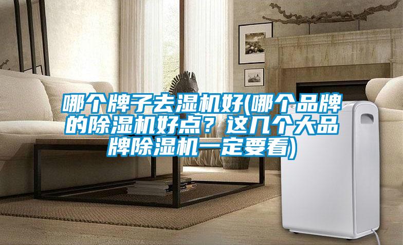 哪個牌子去濕機好(哪個品牌的除濕機好點？這幾個大品牌除濕機一定要看)